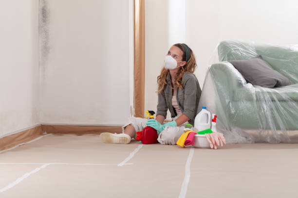Reliable Mold Cleanup contractor in Seaboard, NC by Cheap Mold Removal